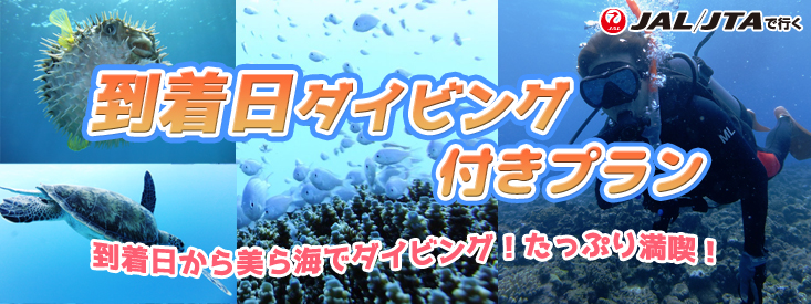 到着日ダイビング付きツアー